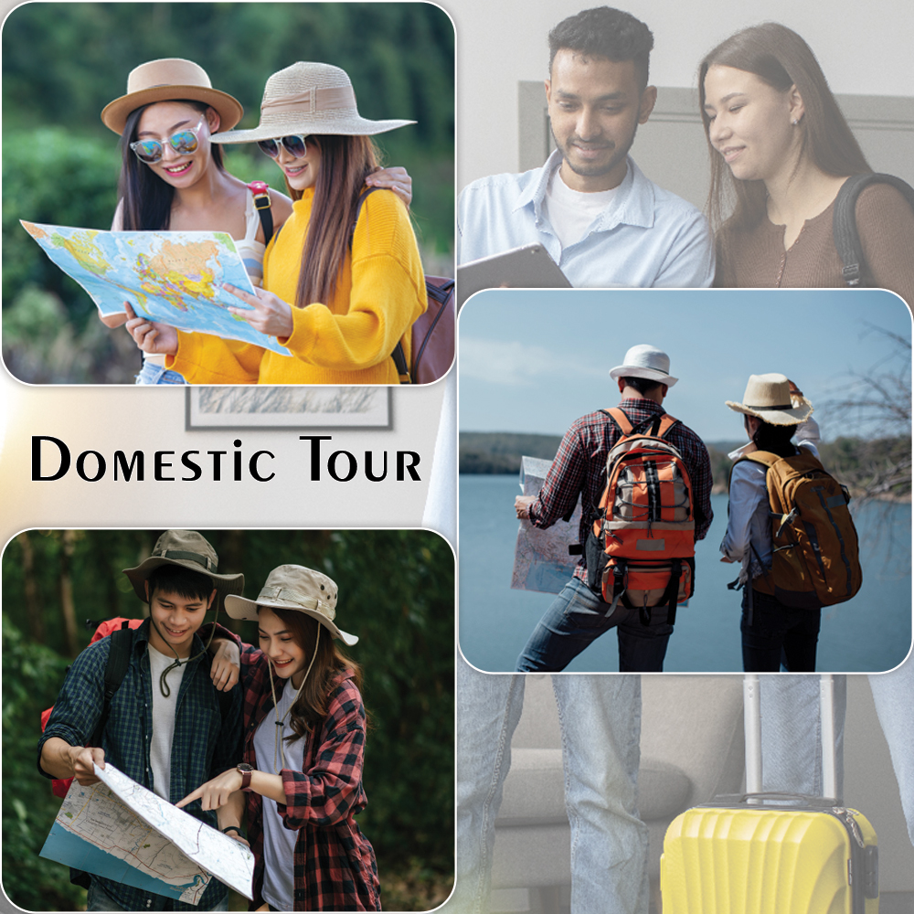 domestic-tour